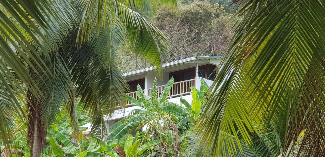 ホテル Vista Caribe ポルトベロ エクステリア 写真