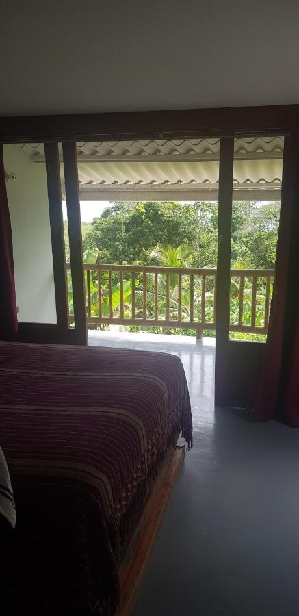 ホテル Vista Caribe ポルトベロ エクステリア 写真