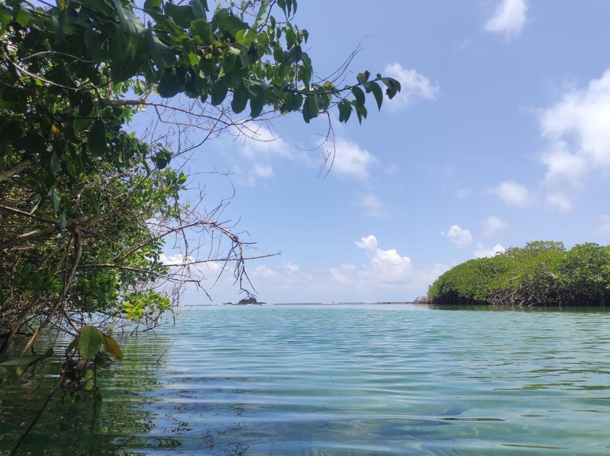 ホテル Vista Caribe ポルトベロ エクステリア 写真